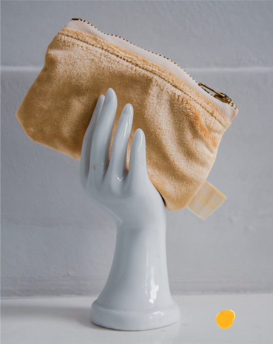SHINE - Lined Velvet Zipper Pouch